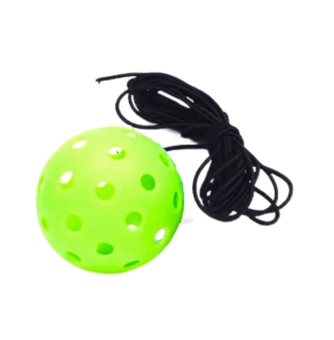 Smart Pickle Ball