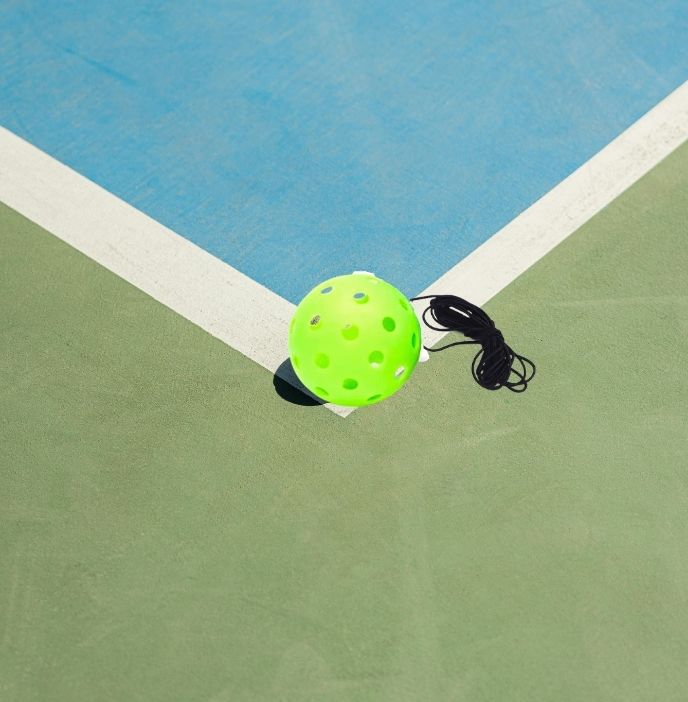 Smart Pickle Ball