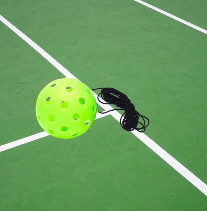 Smart Pickle Ball